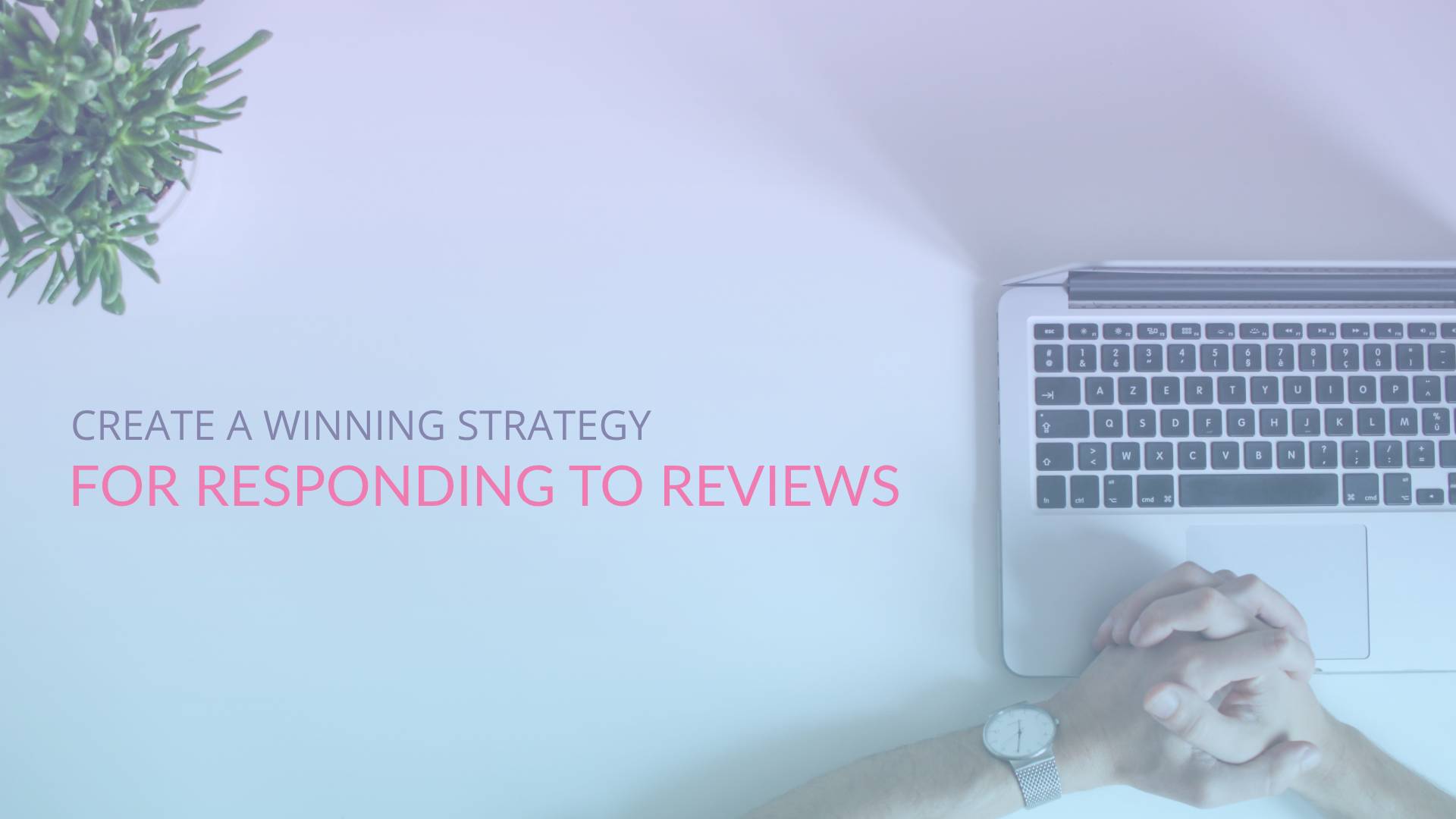 Create a winning strategy for responding to hotel reviews on TripAdvisor